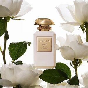 AERIN ROSE DE GRASSE 50 ML